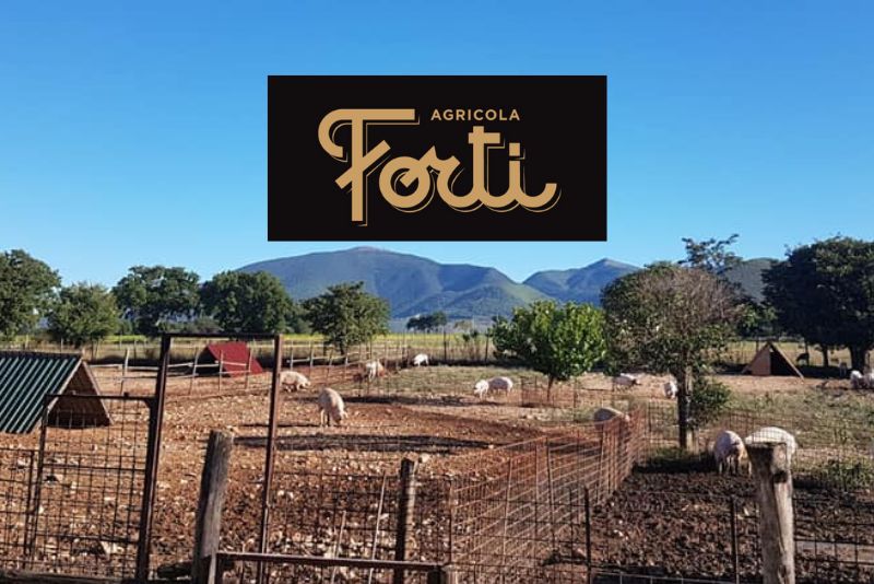 agricola-forti-terre-del-ducato-spoleto